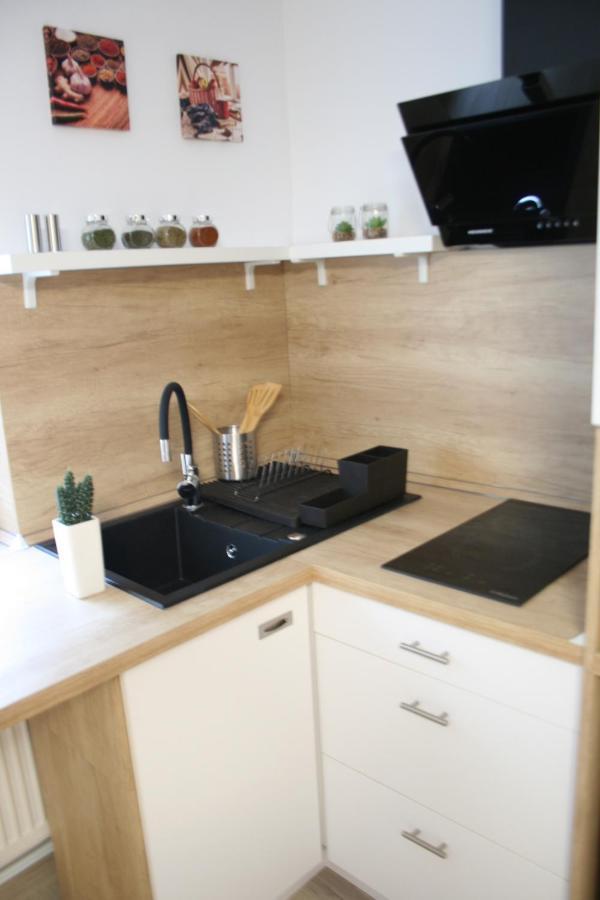 Apartment Bianca ブラショフ エクステリア 写真